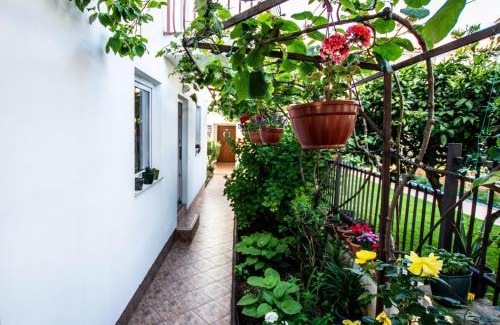 Brulo Apartment | Apartments Lea Poreč