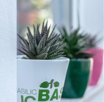 Brulo Apartment | Apartments Lea Poreč