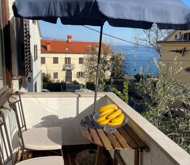 Volosko Apartment | Apartments Matacin with Sea View