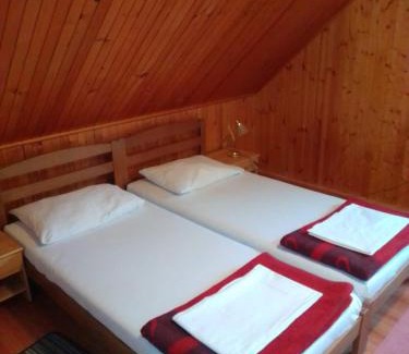 Jasenak Apartment | Apartments Nino
