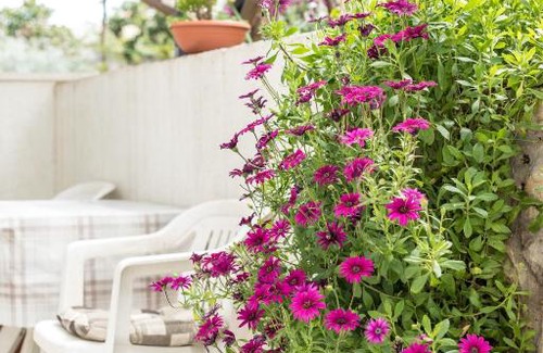 Mastrinka Apartment | Apartments Rogulj
