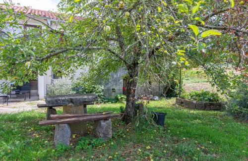 Buzet Apartment | Apartments with a parking space Buzet, Central Istria - Sredisnja Istra - 17333