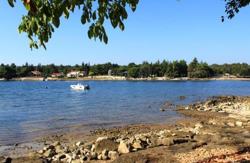 Krizine Apartment | Apartments with a parking space Sveti Ivan, Umag - 22472