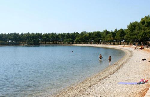 Brkac Apartment | Apartments with swimming pool Motovun - Bataji, Central Istria - Sredisnja Istra - 7069