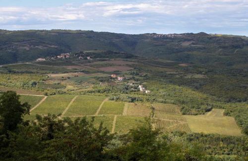 Brkac Apartment | Apartments with swimming pool Motovun - Bataji, Central Istria - Sredisnja Istra - 7069