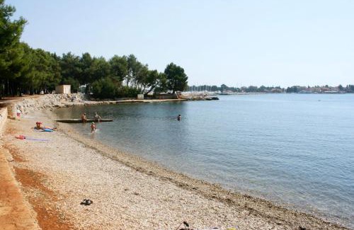 Brkac Apartment | Apartments with swimming pool Motovun - Bataji, Central Istria - Sredisnja Istra - 7069