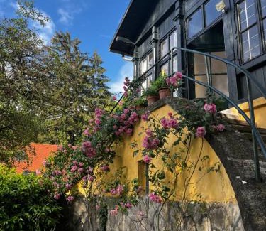 Szentendrei Apartment | ApartmentVillaSolomon7 - Dunakanyar Apartman Visegrád Panorámás