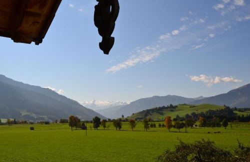 Saalfelden am Steinernen Meer Apartment | Appartement Herzog