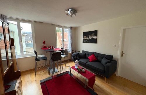 Krutenau Apartment | Appart 3P 57 m2 Le Coeur de la Krutenau Strasbourg
