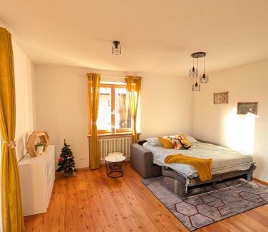 Tret Apartment | Appartamento LA REGINA