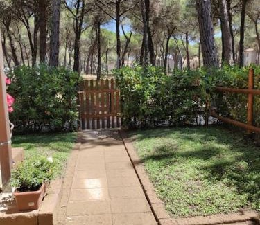 Marina di Grosseto Apartment | Appartamento mare e pineta