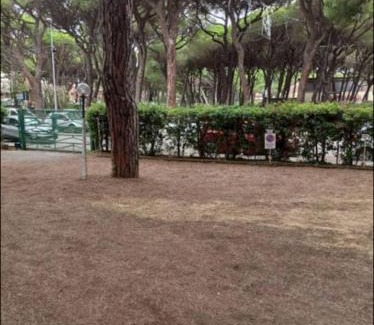 Marina di Grosseto Apartment | Appartamento mare e pineta