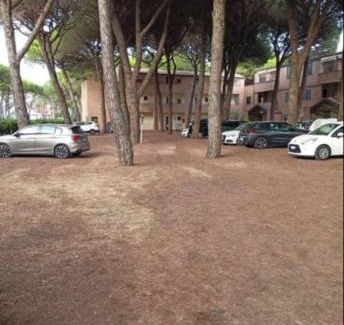 Marina di Grosseto Apartment | Appartamento mare e pineta