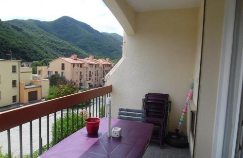 Amelie-les-Bains-Palalda Apartment | Appartement F2 avec balcon et parking à Amélie-les-Bains, idéal pour 4 personnes - FR-1-703-78