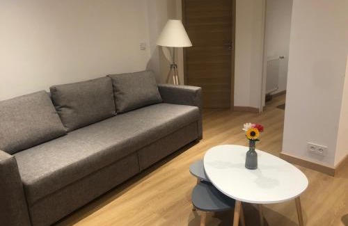 Illkirch-Graffenstaden Apartment | Appartement neuf et cozy avec place de parking