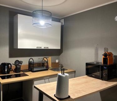 Montigny-le-Bretonneux Apartment | Appartement Claudel Netflix Saint Quentin en Yvelines