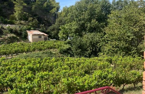 Gigondas Apartment | Appartement 1 chambre au milieu du vignoble de Gigondas