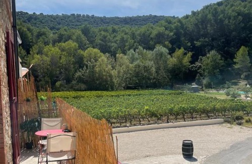 Gigondas Apartment | Appartement 1 chambre au milieu du vignoble de Gigondas