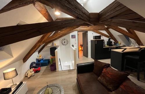 Schiltigheim Apartment | Appartement 2 pièces atypique