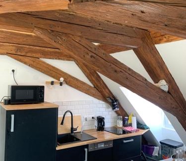 Schiltigheim Apartment | Appartement 2 pièces atypique