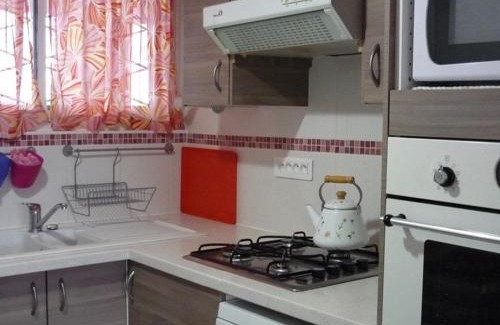 Pyrenees 2000 Apartment | Appartement cosy 2 pièces cabine, proche commerces et pistes, 6 pers, animaux OK - FR-1-592-20
