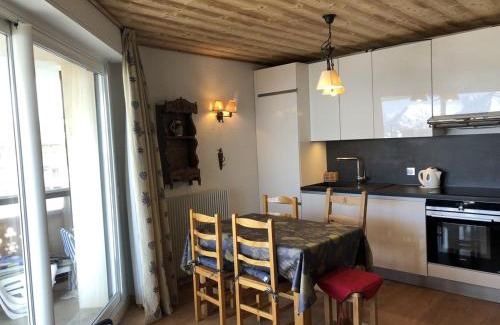 Jeux Apartment | Appartement cosy 3 pièces, 6 pers, pistes et centre à proximité, balcon sud, animaux OK - Huez - FR-1-405-77