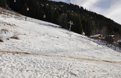 Chatel Apartment | Appartement cosy au cœur de Châtel, proche télécabine et activités avec Multi Pass à 3€/jour! - FR-1-693-69