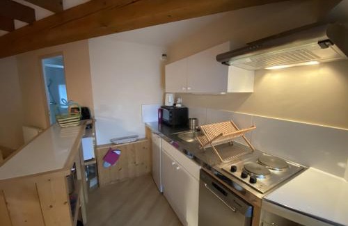 La Roche-Posay Apartment | Appartement cosy au cœur de La Roche-Posay, proximité Thermes Saint Roch, 2-4 personnes, WIFI, animaux admis - FR-1-541-44