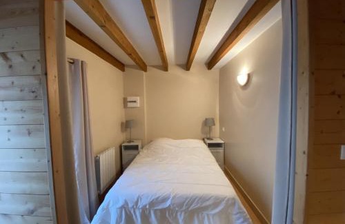 La Roche-Posay Apartment | Appartement cosy au cœur de La Roche-Posay, proximité Thermes Saint Roch, 2-4 personnes, WIFI, animaux admis - FR-1-541-44