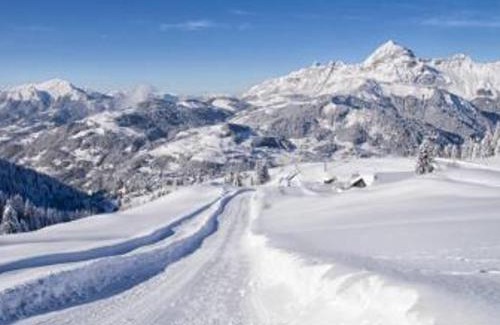 Flumet Apartment | Appartement cosy au pied des pistes avec balcon - FR-1-505-220