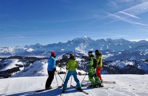 Flumet Apartment | Appartement cosy au pied des pistes avec balcon - FR-1-505-220