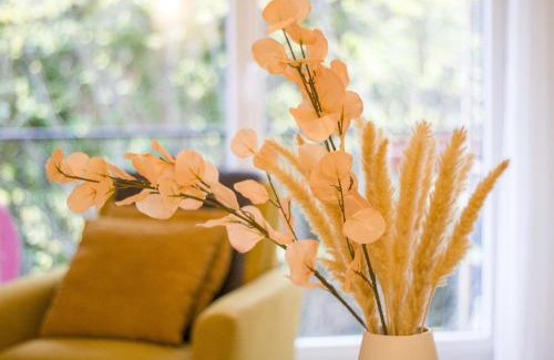Thonon-les-Bains Apartment | Appartement cosy