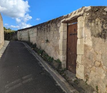 Chinon Apartment | Appartement des hirondelles , au pied du château