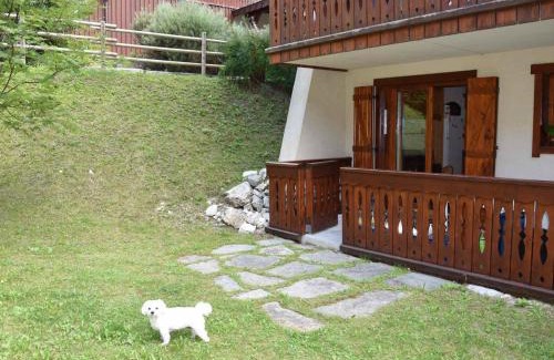 Pralognan-la-Vanoise Apartment | Appartement familial avec jardin, proche des pistes, Pralognan-la-Vanoise - FR-1-464-68