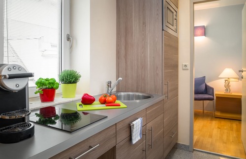 Innere Stadt Apartment | Appartement-Hotel an der Riemergasse