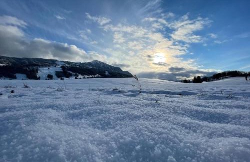 Kranzegg Apartment | Appartement im Herzen des Allgäu‘s