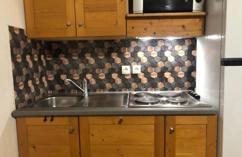Fontcouverte-la-Toussuire Apartment | Appartement La Toussuire