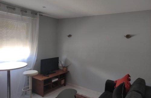 Haussonville-Blandan-Mon Desert-Saurupt Apartment | APPARTEMENT NANCY THERMAL/ARTEM/PARC STE MARIE Le 61 LES THERMES