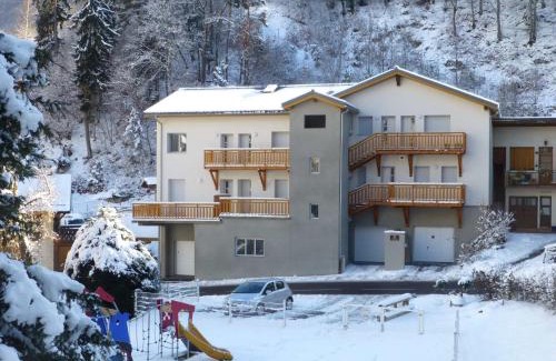 Brides-les-Bains Apartment | Appartement neuf 2* au centre de Brides avec terrasse, proche télécabines et commerces - FR-1-512-41