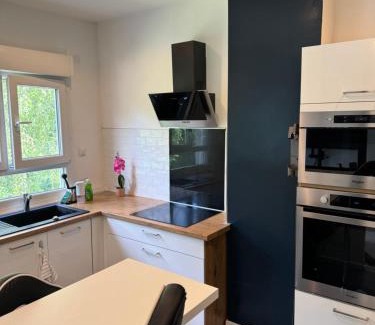 Saint-Avertin Apartment | Appartement proche de Tours