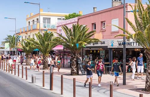 Plage d'Argeles Apartment | Appartement T2 avec Climatisation à Argelès-sur-Mer - FR-1-732-96