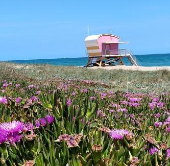 Leucate Apartment | Appartement T2 dans village Naturiste en bord de mer