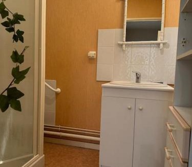 Chinon Apartment | Appartement T3 bord de la Vienne