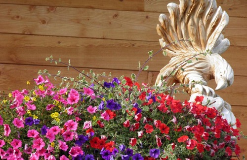 Valle San Silvestro Apartment | Appartements Burgerhof