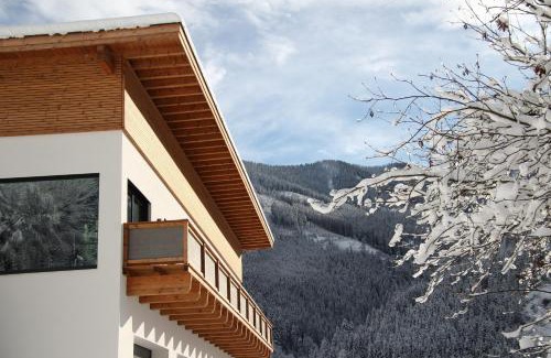 Viehhofen Apartment | Appartements Moser