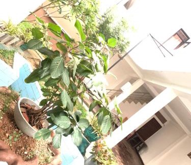 Negombo Hotel | Araliya Hotel