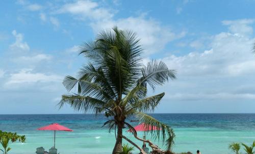 Libaong Resort | ARAMARA Resort