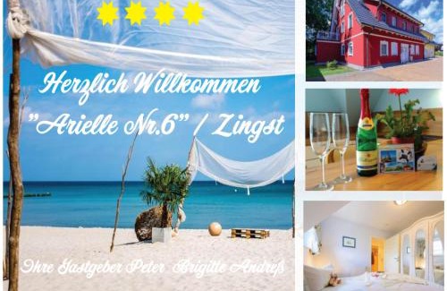 Zingst Apartment | Arielle Nr 6 - für die schönste Zeit des Jahres -