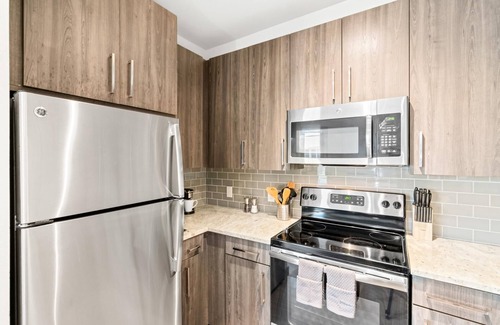 Central Arlington Apartment | Arlington Inspired 2BD 2BA Deluxe Apartment