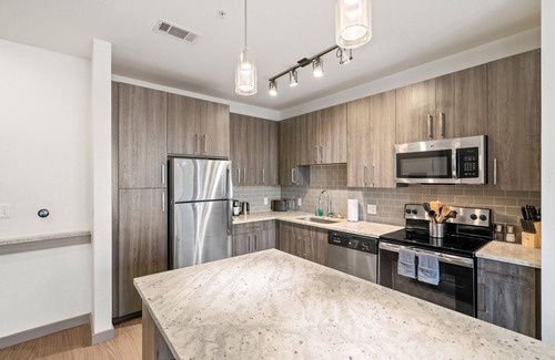 Central Arlington Apartment | Arlington Upscale 2BD 2BA Apartment